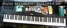 �摜�F�f�W�^���s�A�mP-200